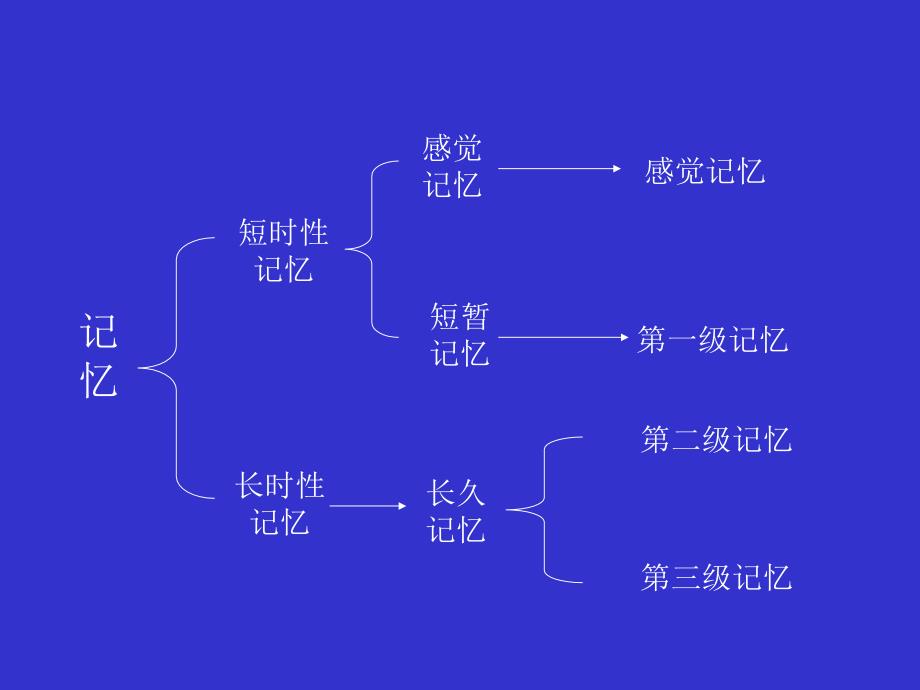 记忆的分类及生理基础_第3页