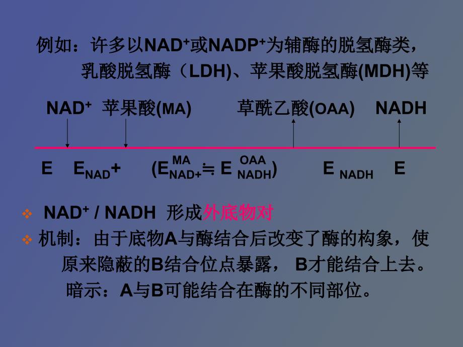 酶促反应动力学多底物动力学_第4页