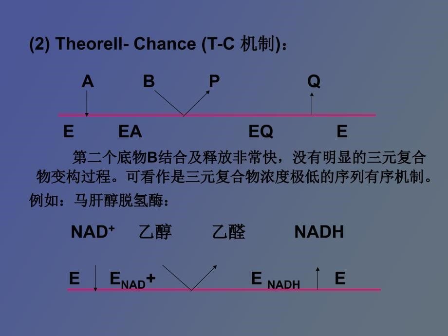 酶促反应动力学多底物动力学_第5页