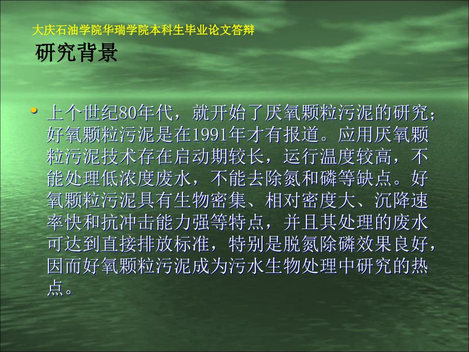 好氧颗粒物的研究与应用.ppt_第3页