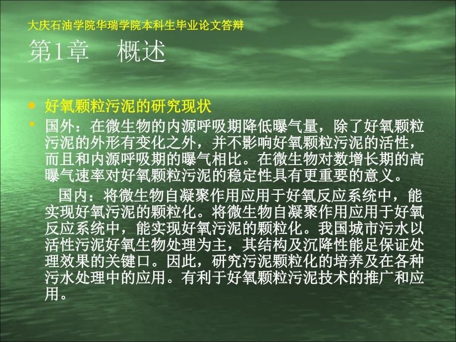 好氧颗粒物的研究与应用.ppt_第5页