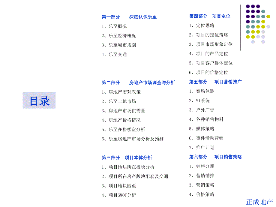 四川乐至乐至迎宾大道项目策划提案96P_第2页