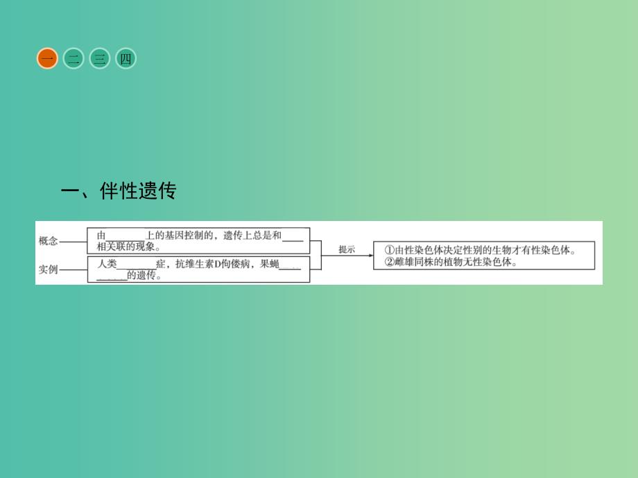 高中生物第2章基因和染色体的关系第3节伴性遗传课件新人教版.ppt_第3页