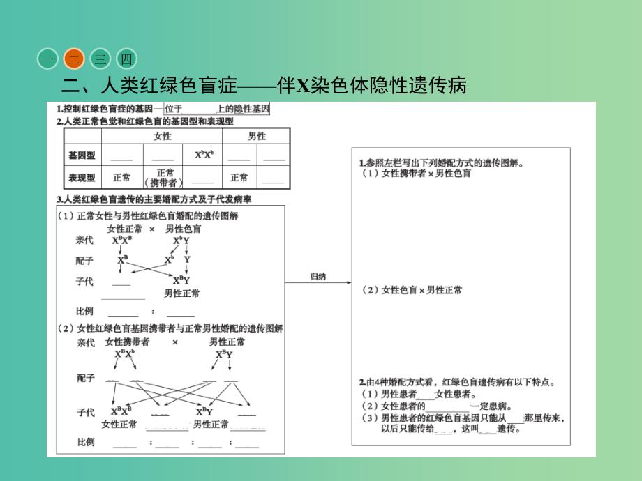 高中生物第2章基因和染色体的关系第3节伴性遗传课件新人教版.ppt_第4页