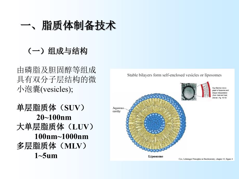 靶向给药系统的研究和发展_第2页