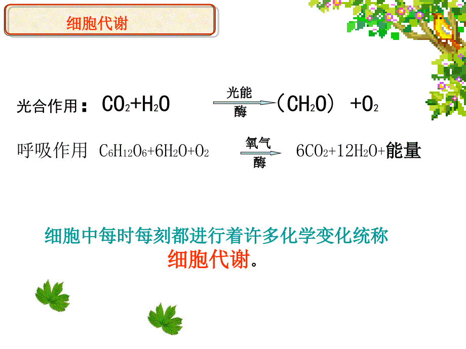 高一生物酶的作用和本质课件_第2页