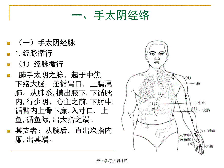 最新经络学手太阴肺经_第2页