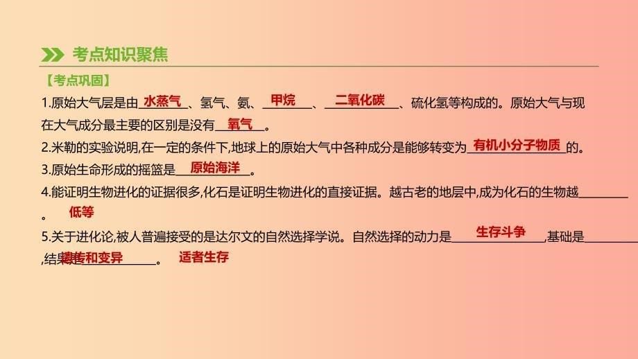 广东省2019年中考生物 主题复习六 生物的生殖、发育和遗传、变异 第12课时 生命起源和生物进化课件.ppt_第5页