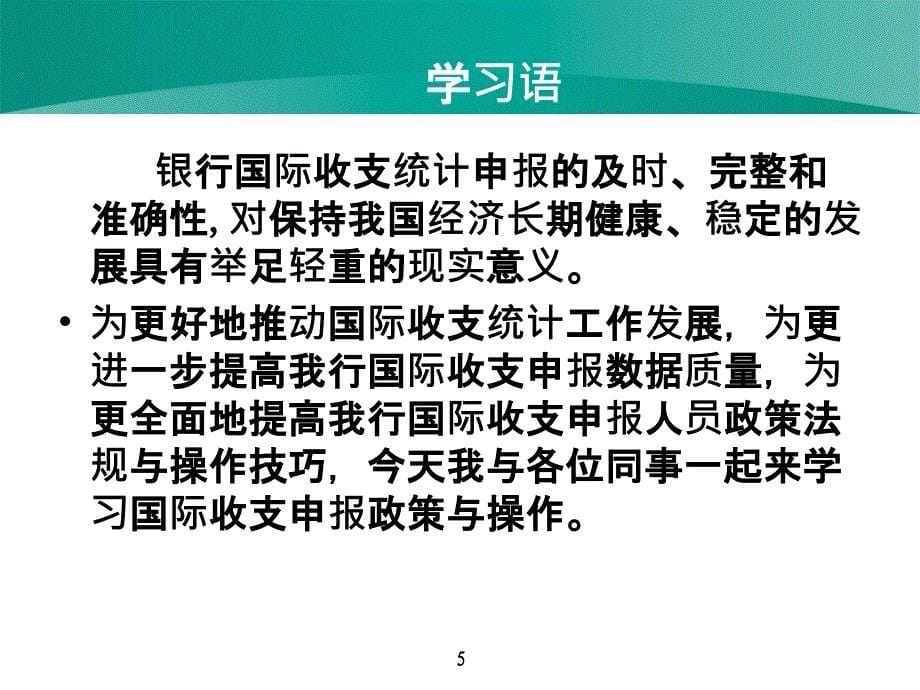 国际收支申报个人_第5页