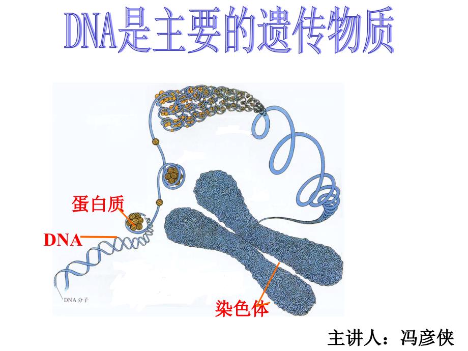 肺炎双球菌转化实验_第1页