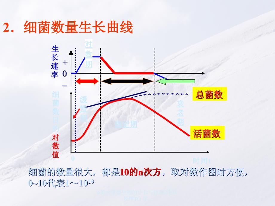 微生物的生长与控制-生长规律_第2页