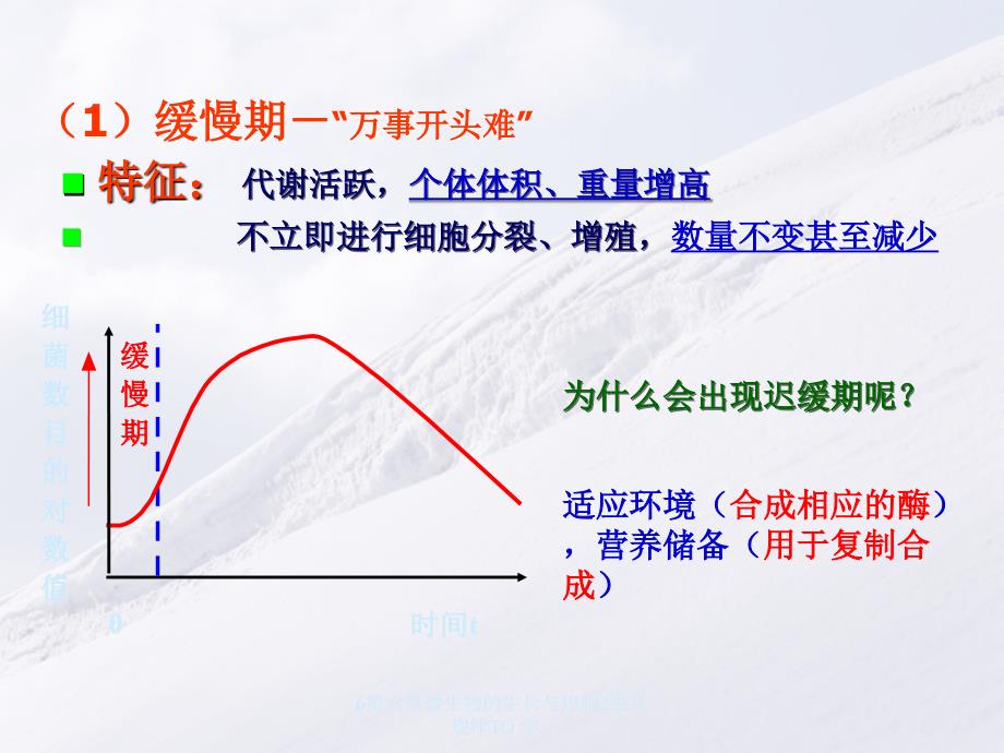 微生物的生长与控制-生长规律_第3页