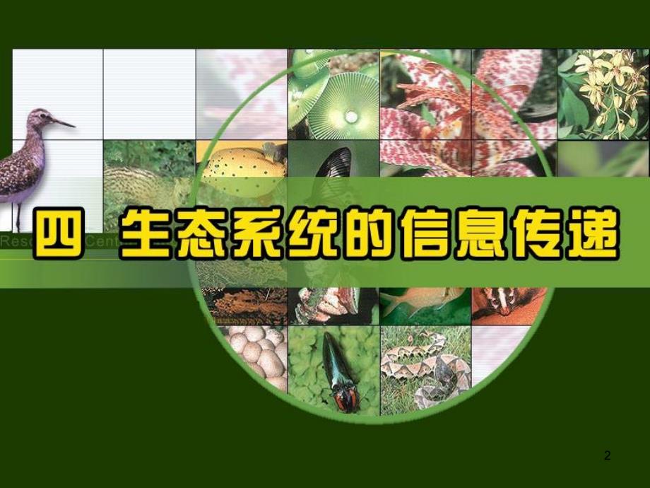 高一生物第5章第4节生态系统的信息传递课件_第2页