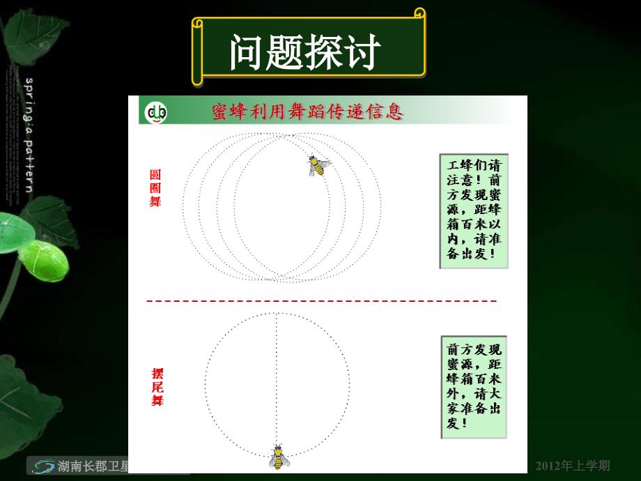 高一生物第5章第4节生态系统的信息传递课件_第4页