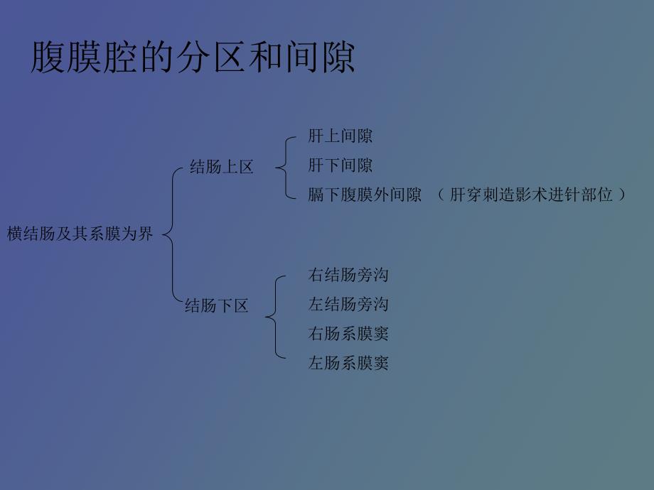 腹部结肠上区_第1页