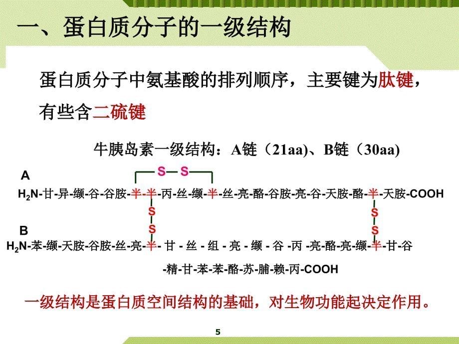 生物化学与分子生物学：第一章 蛋白质的结构与功能（二）_第5页