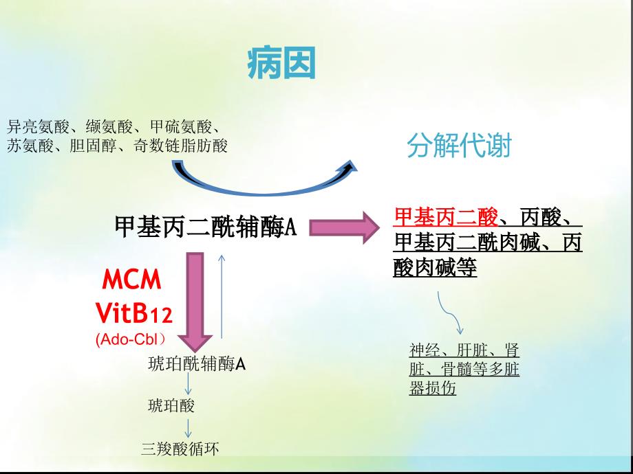 甲基丙二酸血症_第3页