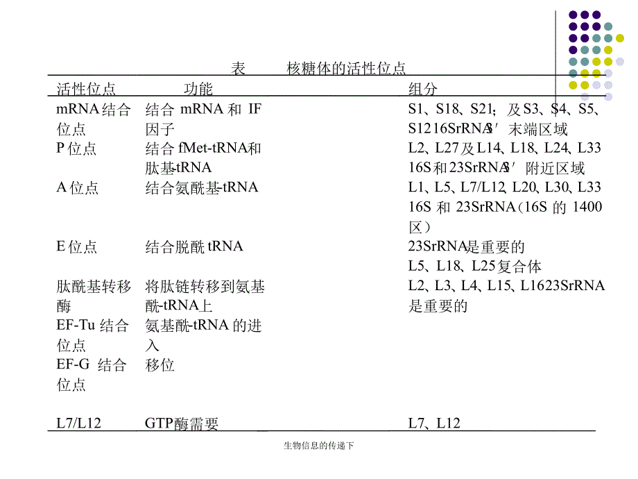 生物信息的传递下课件_第2页