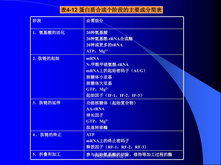 生物信息的传递下课件_第4页