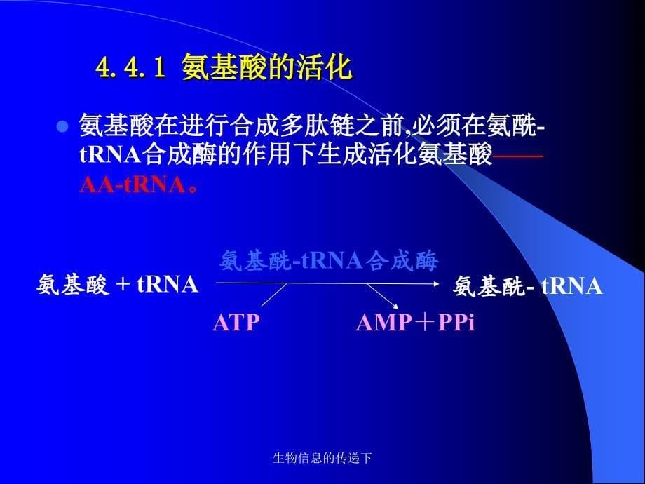 生物信息的传递下课件_第5页