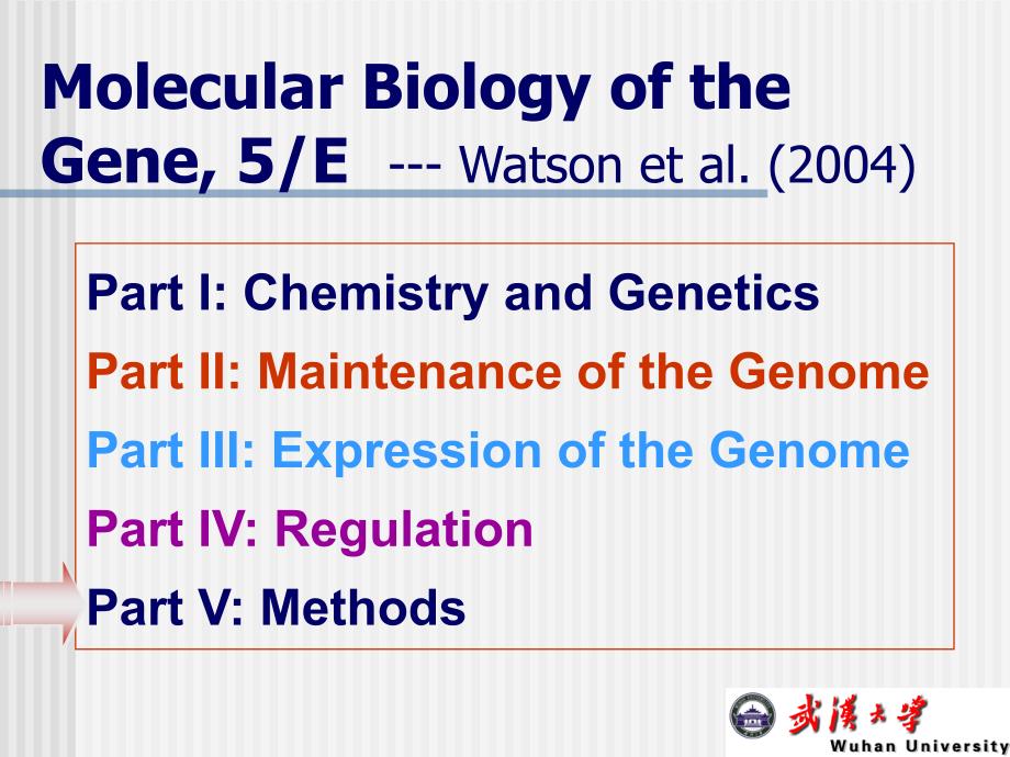 分子生物学英文版教学课件：Ch 20 Techniques of Molecular Biology_第2页