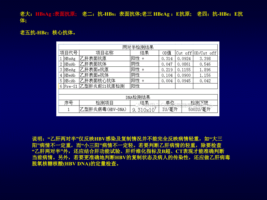 乙肝的基本知识课件_第3页