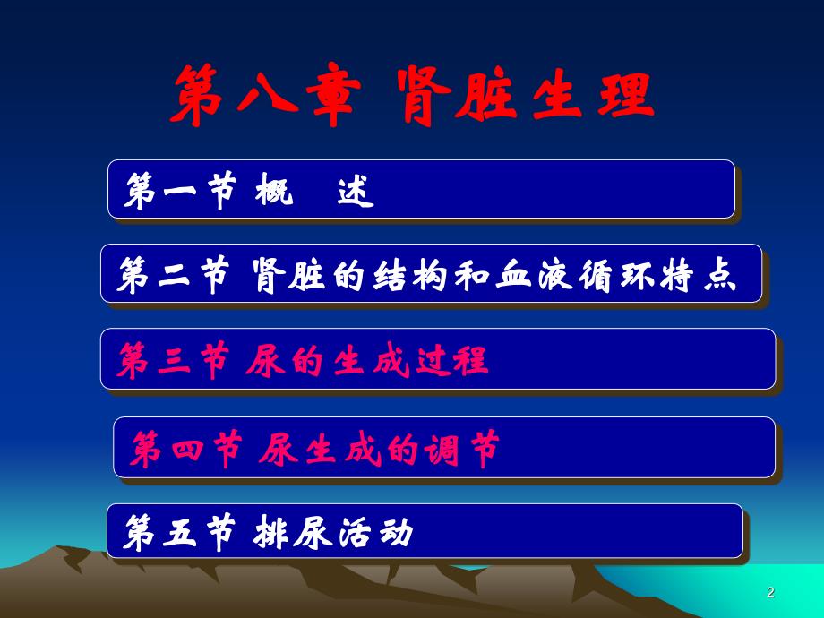 中医药大学人体解剖生理学课件JC整理第十章泌尿系统的结构与功能_第2页