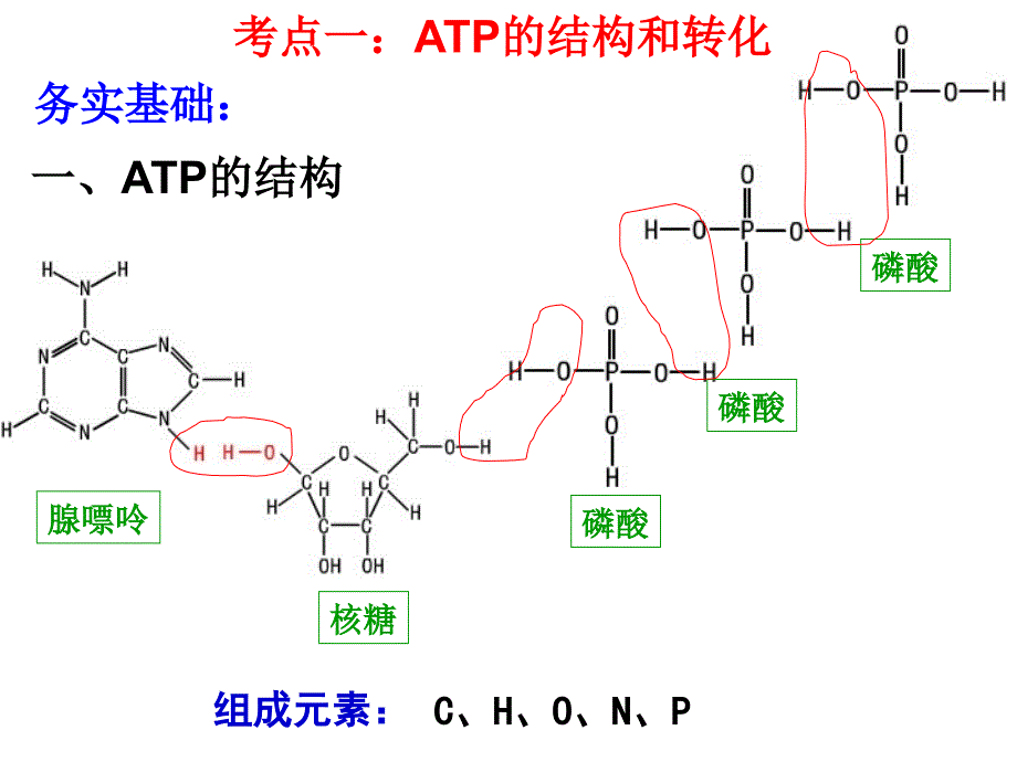 ATP与细胞呼吸一轮复习.ppt_第4页