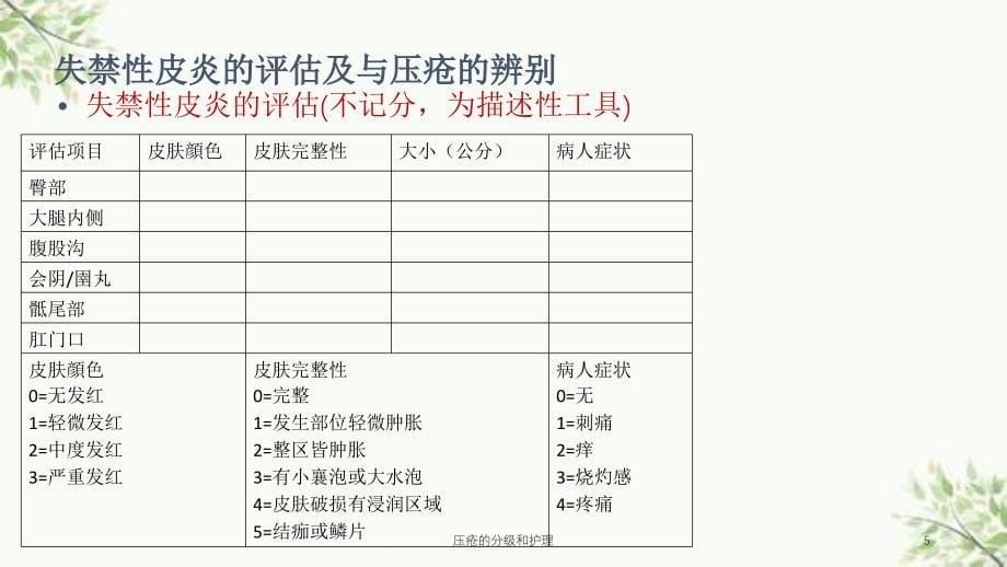 压疮的分级和护理课件_第5页