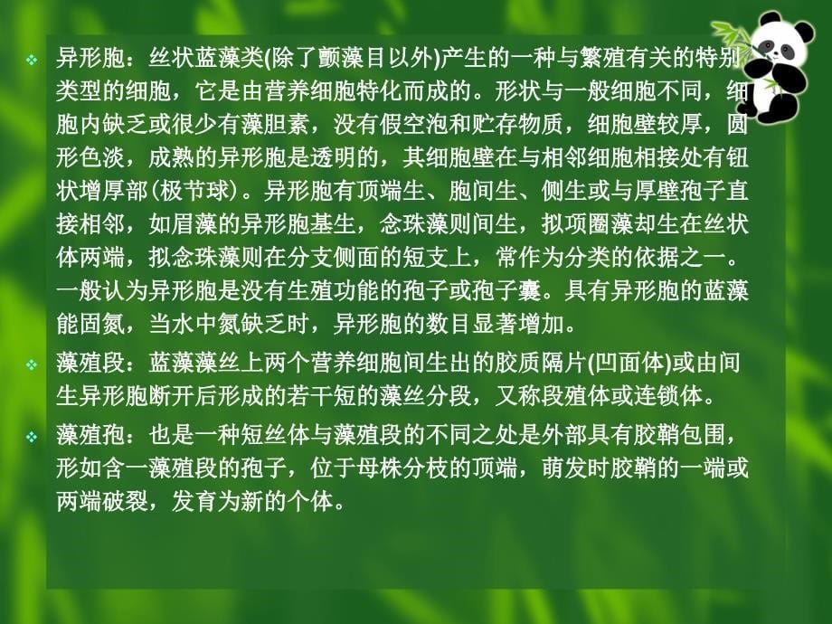 水生生物学第三章蓝藻门课件_第5页