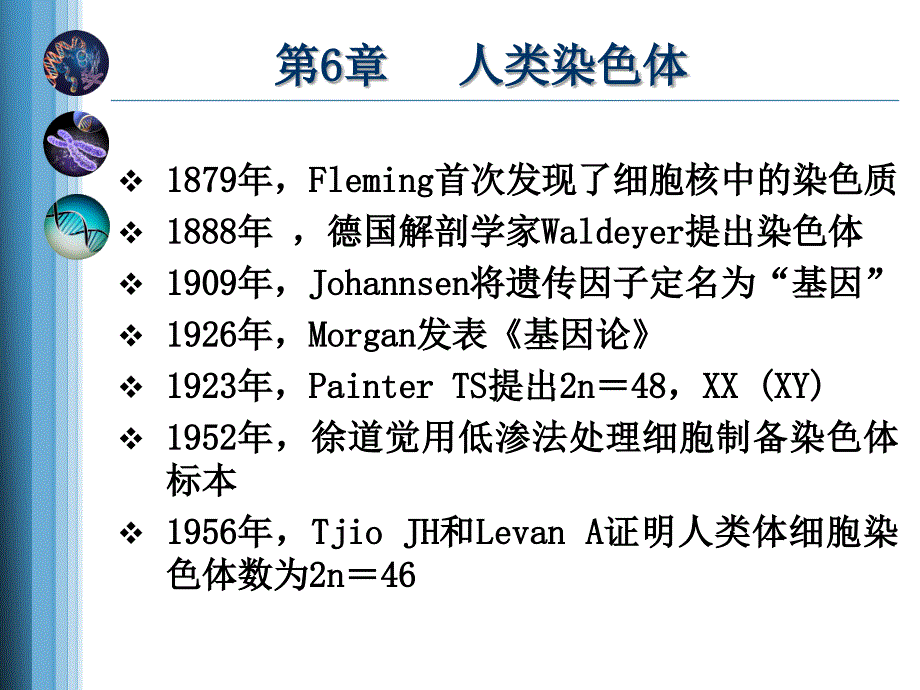 医学遗传学：第6章 人类染色体_第2页