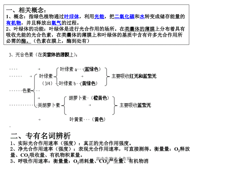 最新高中生物光合作用_第2页