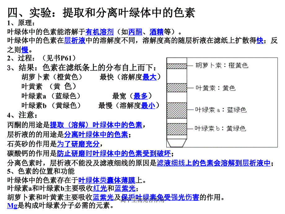 最新高中生物光合作用_第4页