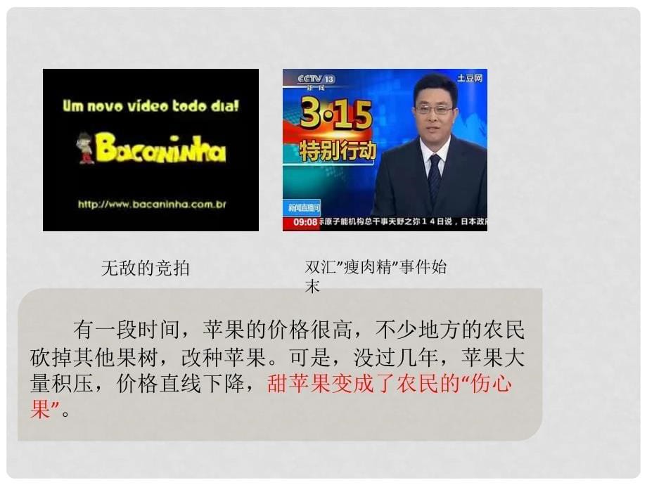 四川省仪陇县宏德中学高中政治 9.1 市场配置资源课件 新人教版必修1_第5页