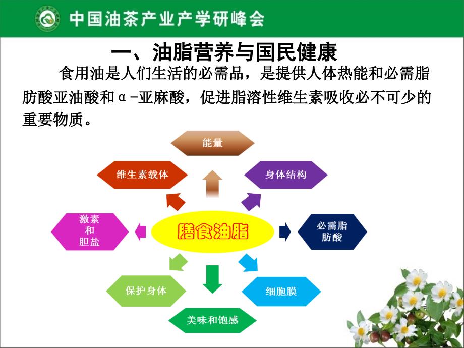 油茶产业的蓝海商机_第3页