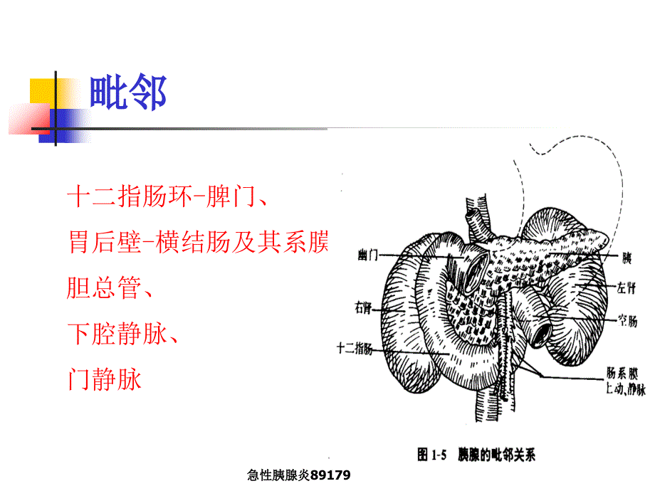 急性胰腺炎89179_第4页