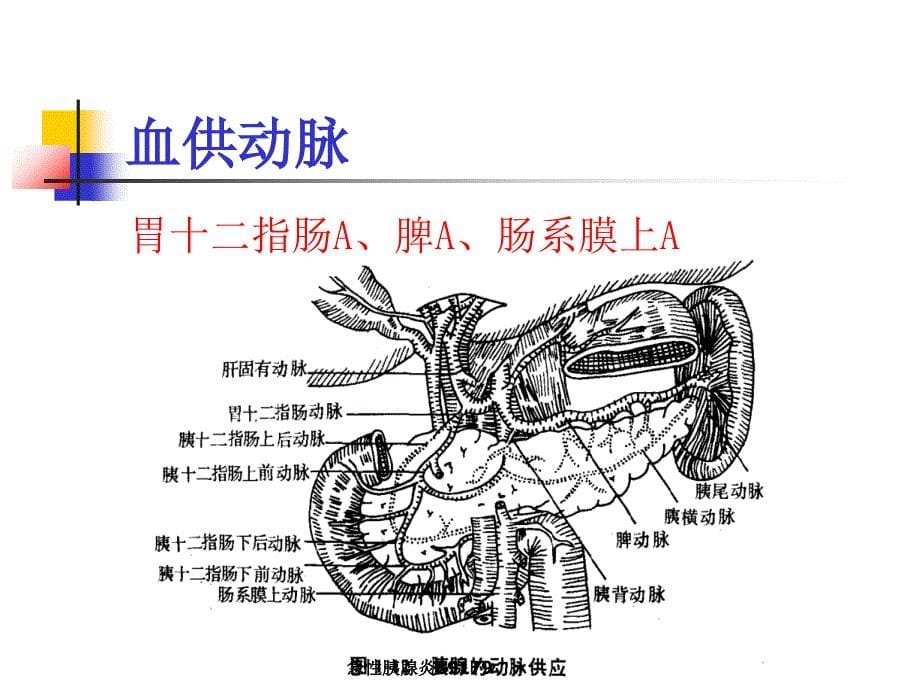 急性胰腺炎89179_第5页