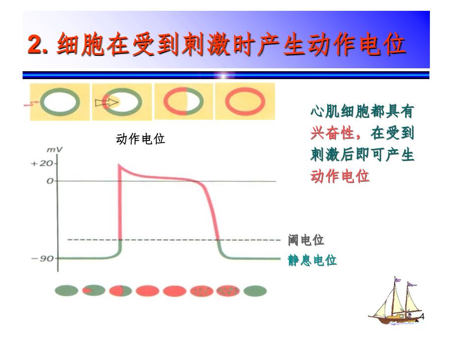 心电图的产生原理PPT课件_第4页