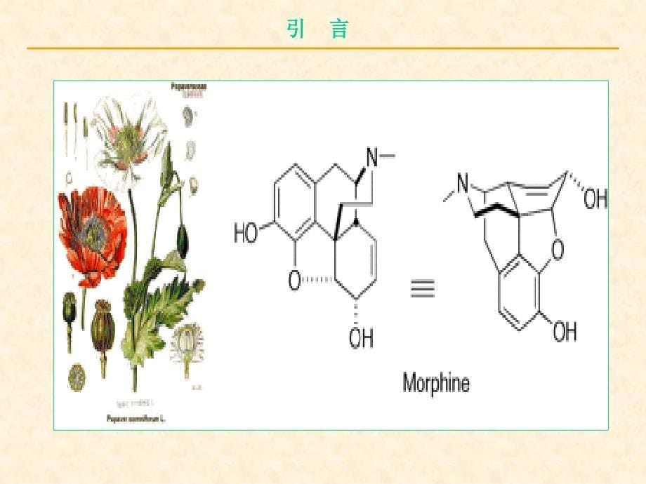 第十八章杂环化合物(1)_第5页