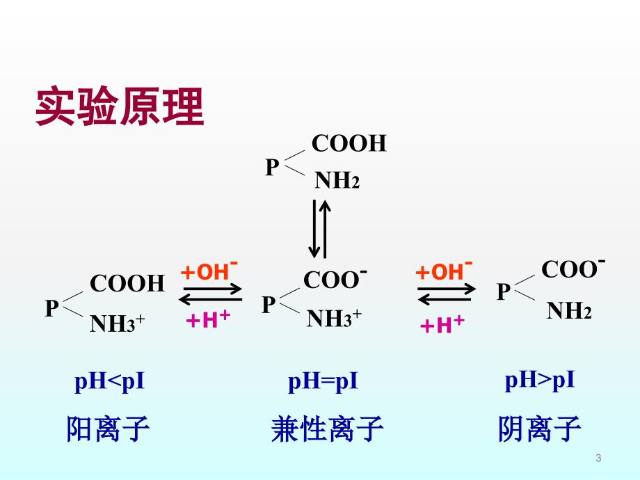 实验二.蛋白质的两性反应与等电点测定ppt课件_第3页