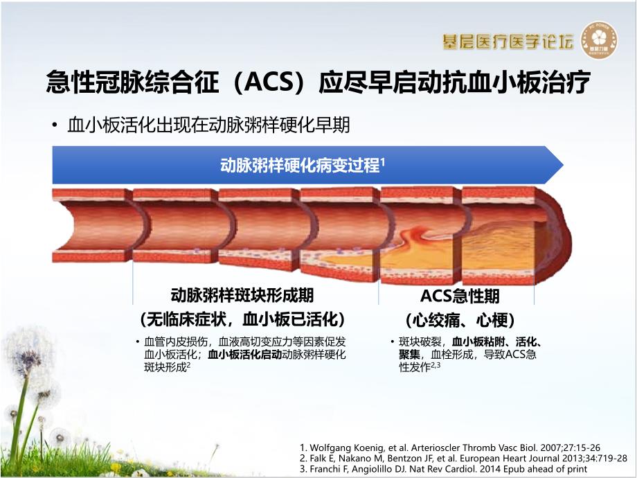 ACS患者抗血小板治疗策略_第3页