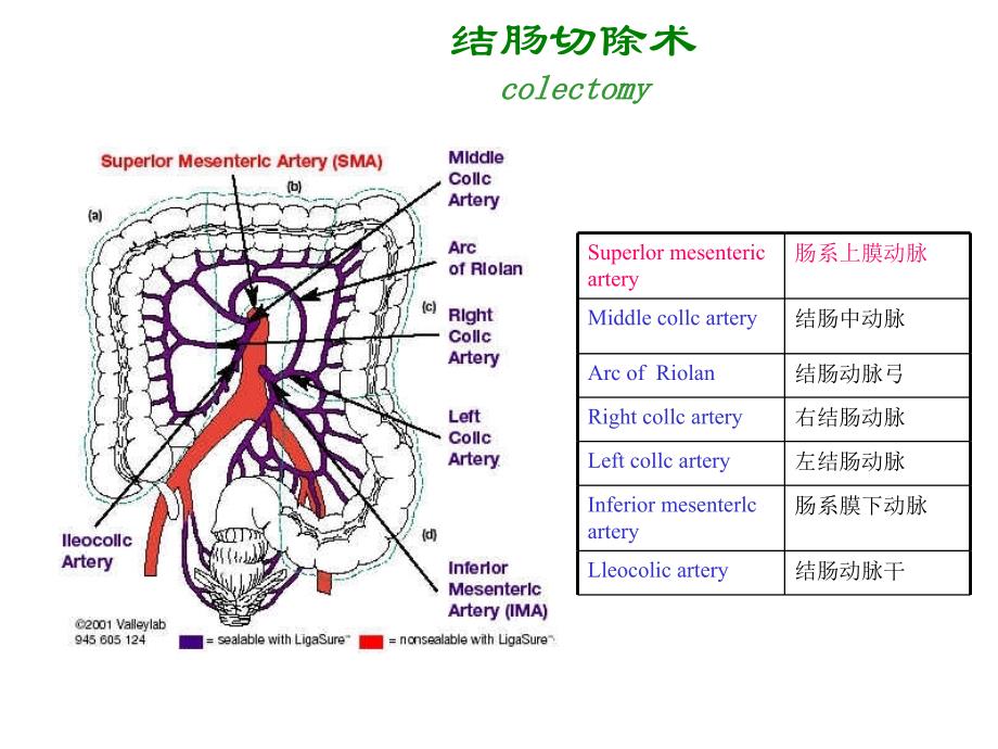 外科手术图谱_第1页