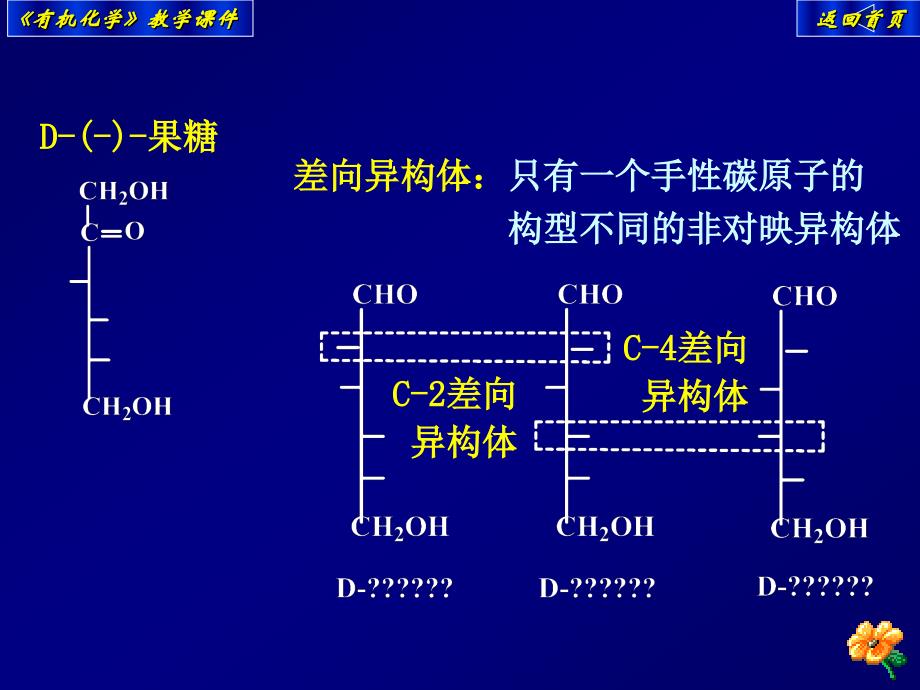 15第十五章糖类_第4页