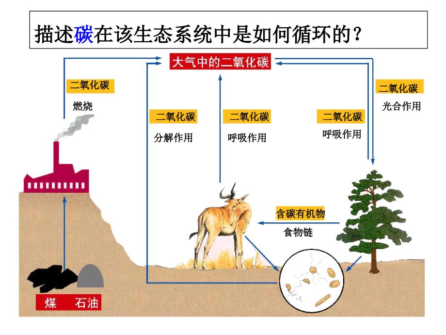 生物圈中的各种生态系统_第1页