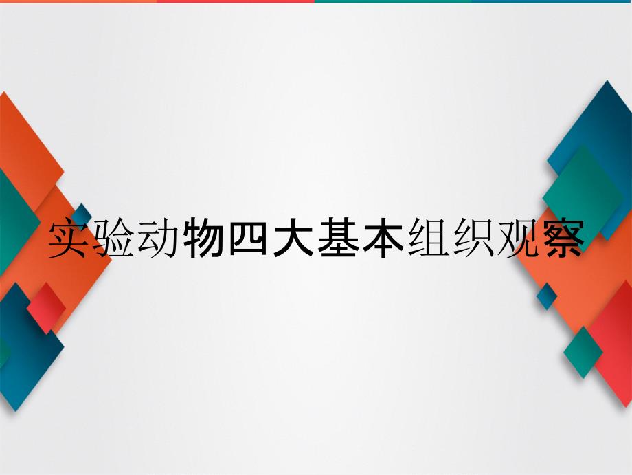 实验动物四大基本组织观察_第1页