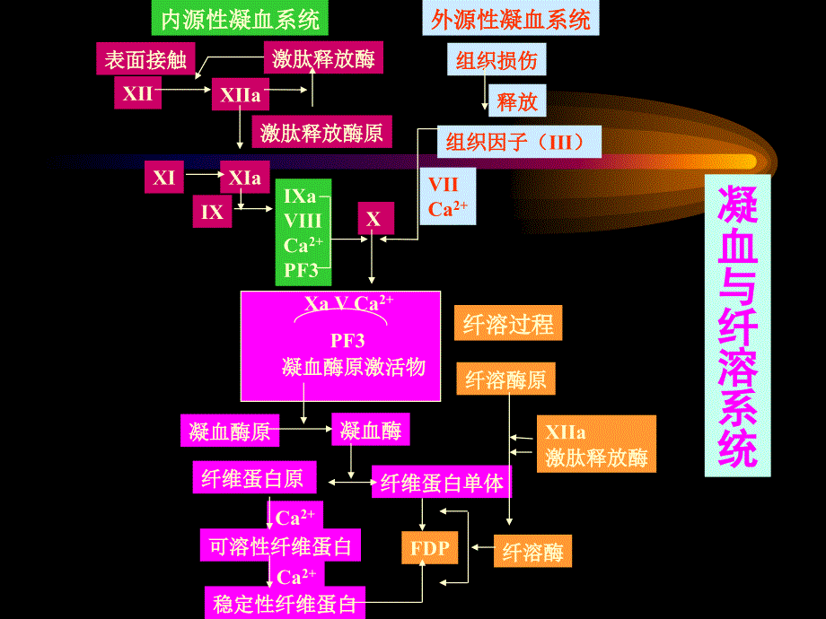 凝血与抗凝血平衡紊乱(1)_第4页