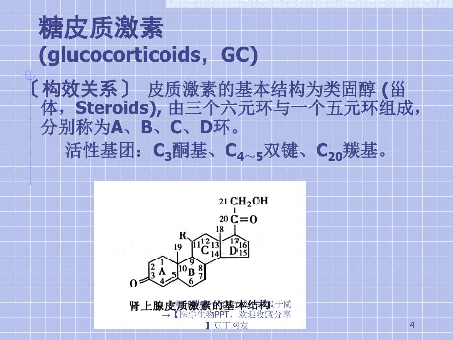 内分泌系统药理学.ppt_第4页