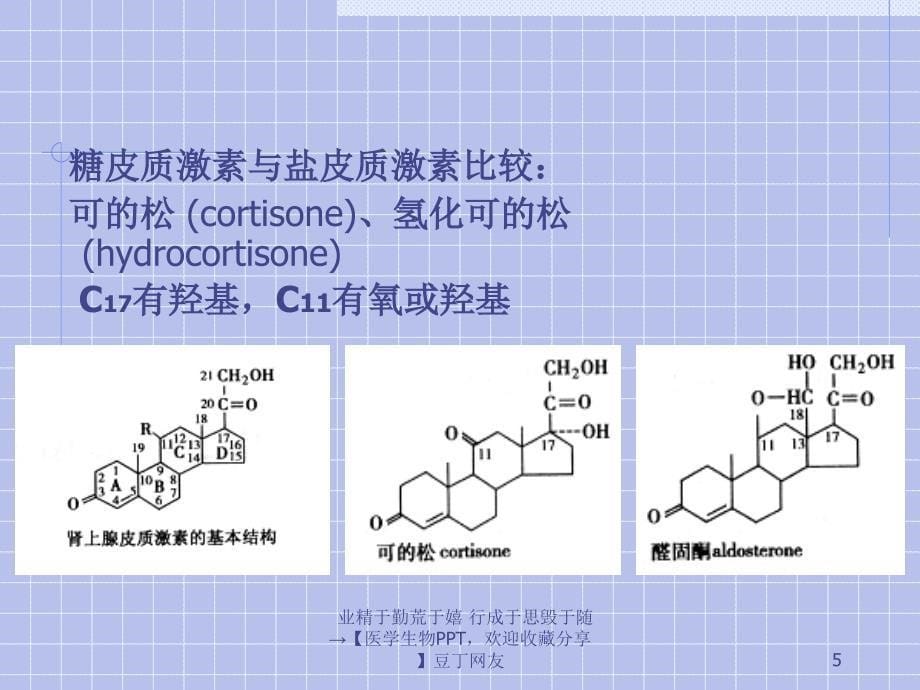 内分泌系统药理学.ppt_第5页