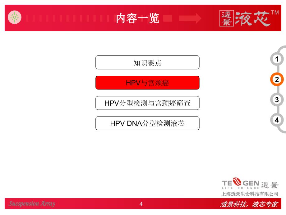 HPV DNA分型与临床(new).ppt_第4页