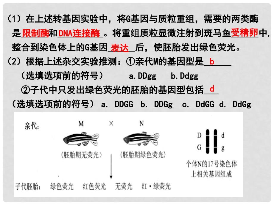 高中生物 变异习题精讲课件 新人教版_第4页